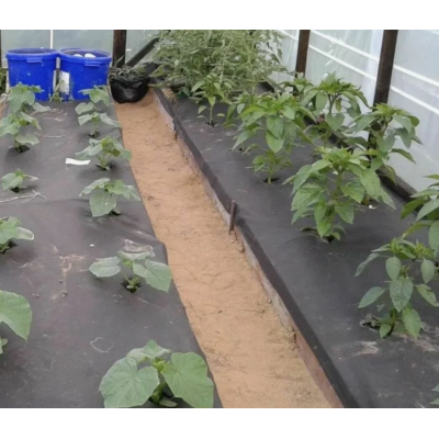 Агроволокно Черное АГРОТЕКС, 60 г/кв.м., шир. 3,2 м, 1 п.м.