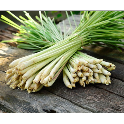 Семена - Лимонная трава Лемонграсс, 0.1 г