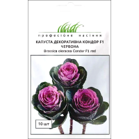 Насіння - Капуста декор. Кондор F1 червона, Sakata (Японія), 10 шт Насіння - Капуста декор. Кондор F1 червона, Sakata (Японія), 10 шт