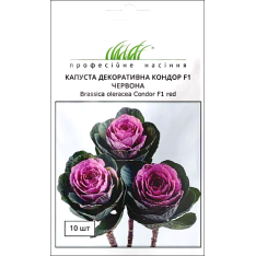 Семена - Капуста декор. Кондор F1 красная, Sakata (Япония), 10 шт Семена - Капуста декор. Кондор F1 красная, Sakata (Япония), 10 шт