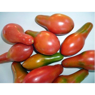 Насіння - Томат Хоттабич, 0,1 г