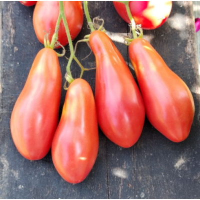 Насіння - Томат Хоттабич, 0,1 г