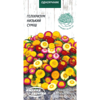 Насіння - Геліхрізум Низький, суміш, 0,2 г