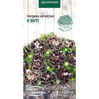 Насіння - Гвоздика К'янті, китайська, 0,1 г