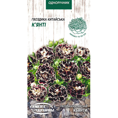 Семена - Гвоздика Кьянти, китайская, 0,1 г