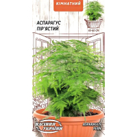 Насіння - Аспарагус пір'ястий, 0,2 г Насіння - Аспарагус пір'ястий, 0,2 г