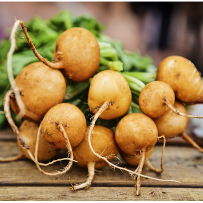 Семена - Редис Ранний желтый Лион, 200 шт.