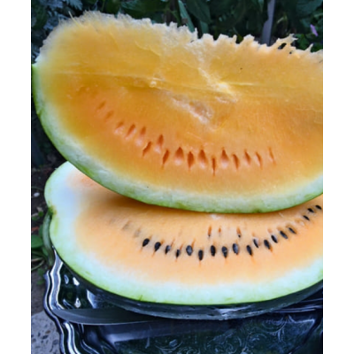Насіння - Кавун Світлий Щербет, суміш, 20 шт. Насіння - Кавун Світлий Щербет, суміш, 20 шт.