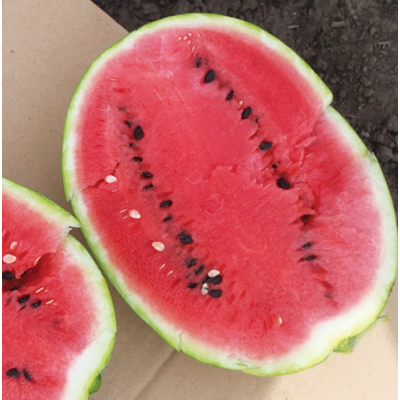 Насіння - Кавун Світлий Щербет, суміш, 20 шт. Насіння - Кавун Світлий Щербет, суміш, 20 шт.