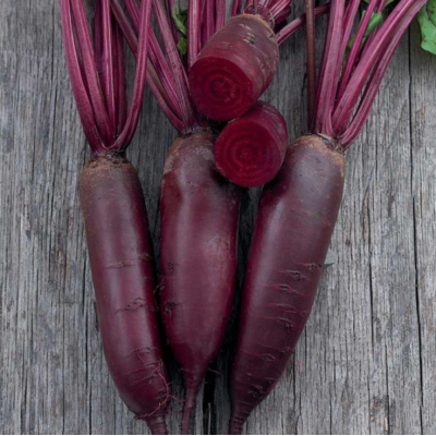 Насіння - Буряк Фороно, 3 г.