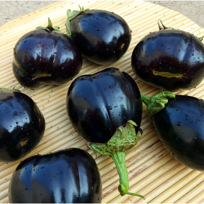 Насіння - Баклажан Імперіал, 30 шт. Насіння - Баклажан Імперіал, 30 шт.