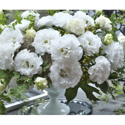 Семена - Эустома на срез Корелли F1, смесь, Takii Seed (Япония), 10 драже