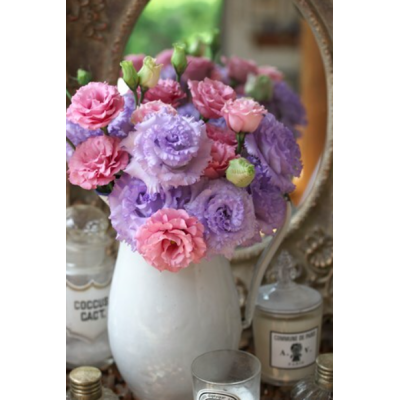 Семена - Эустома на срез Корелли F1, смесь, Takii Seed (Япония), 10 драже