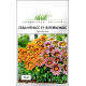 Насіння - Газанія Кісс F1 флейм мікс, Syngenta Flowers (Нідерланди), 10 шт