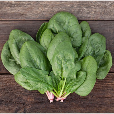 Семена - Шпинат Корвер F1, Enza Zaden (Нидерланды), 2 г. Семена - Шпинат Корвер F1, Enza Zaden (Нидерланды), 2 г.