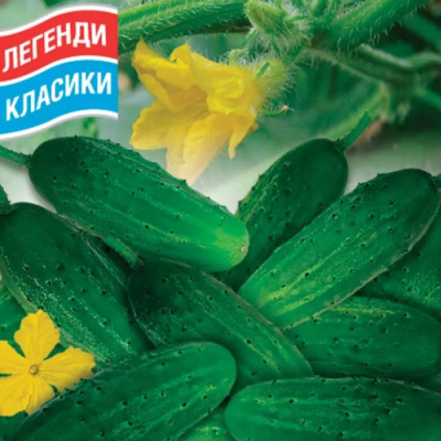 Семена - Огурец Кечкемет, 20 шт.