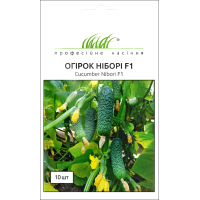 Семена - Огурец Нибори F1, Kitano Seeds (Нидерланды), 10 шт. Семена - Огурец Нибори F1, Kitano Seeds (Нидерланды), 10 шт.