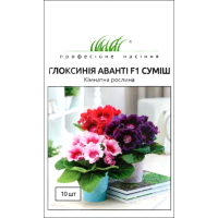 Насіння - Глоксинія Аванті F1, суміш, Sakata (Японія), 10 шт.