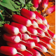 Насіння на стрічці - Редиска 18 днів, 5 м/150 шт.