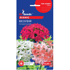 Семена - Лихнис Везувий, 0,25 г. Семена - Лихнис Везувий, 0,25 г.
