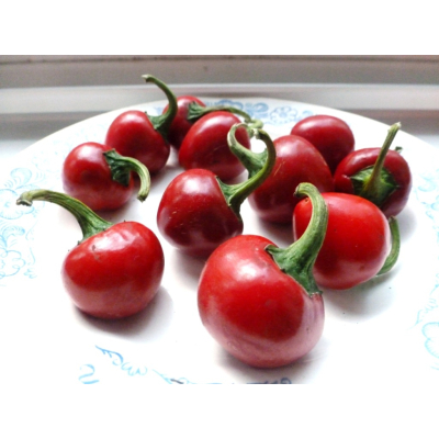 Семена - Перец острый Поцелуй Сатаны, 20 шт.