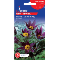 Насіння - Сон-трава Фіолетовий сад, 0,1 г.