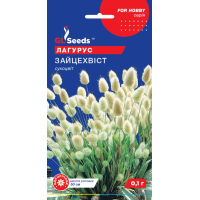 Насіння – Лагурус Зайцехвіст, 0,1 г.