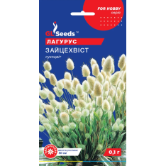 Семена - Лагурус Зайцехвост, 0,1 г.