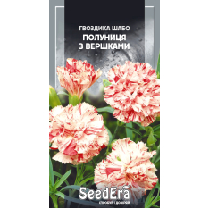 Насіння - Гвоздика Шабо Полуниця з вершками, 0,2 г. Насіння - Гвоздика Шабо Полуниця з вершками, 0,2 г.