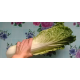 Семена - Капуста пекинская Гранат, 0,5 г.