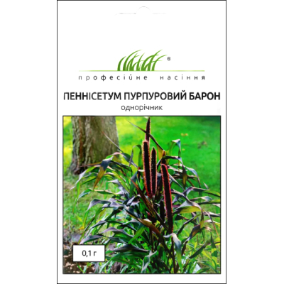 Насіння - Пеннісетум Пурпуровий барон (просо декоративне), W.Legutko (Польща), 0,1 г.