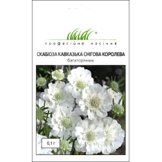 Насіння - Скабіоза Снігова Королева, кавказька, W.Legutko (Польща), 0,1 г. Насіння - Скабіоза Снігова Королева, кавказька, W.Legutko (Польща), 0,1 г.
