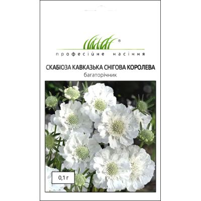 Семена - Скабиоза Снежная Королева, кавказская, W.Legutko (П...