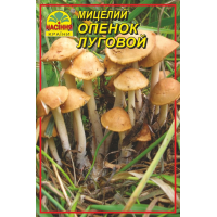Міцелій (зерновий) - Опеньок Луговий, 10 г.