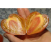Насіння - Томат Гордість Марини, 0,1 г.