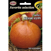 Насіння - Економ пак. - Гарбуз Кенжі Курі, 10 г.
