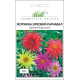 Семена - Георгина Звездный карнавал, смесь, Hem Zaden (Нидерланды), 0,2 г.