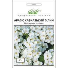Семена - Арабис Белый, кавказский, Hem Zaden (Нидерланды), 0,1 г. Семена - Арабис Белый, кавказский, Hem Zaden (Нидерланды), 0,1 г.