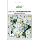 Семена - Арабис Белый, кавказский, Hem Zaden (Нидерланды), 0,1 г.
