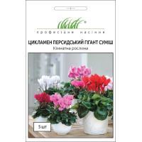Семена - Цикламен персидский Гигант, смесь, Hem Zaden (Нидерланды), 5 шт.