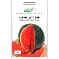 Насіння - Кавун Шуга бебі, Clause (Франція), 1 г.