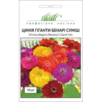 Семена - Цинния Гиганты Бенари, смесь, Benary (Германия), 10 шт. Семена - Цинния Гиганты Бенари, смесь, Benary (Германия), 10 шт.