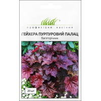 Семена - Гейхера Пурпурный дворец, PanAmerican (США), 20 шт. Семена - Гейхера Пурпурный дворец, PanAmerican (США), 20 шт.