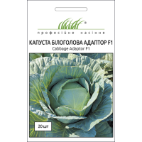 Семена - Капуста б/к Адаптор F1, Syngenta (Нидерланды), 20 шт.