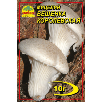 Міцелій (зерновий) - Глива Королівська, 10 г.