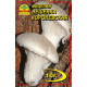 Мицелий (зерновой) - Вешенка Королевская, 10 г.