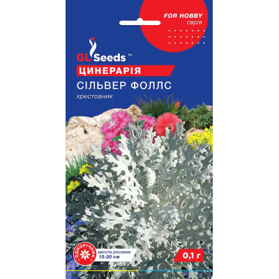 Семена - Цинерария Сильвер Фоллс, 0,1 г.