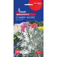 Семена - Цинерария Сильвер Фоллс, 0,1 г.