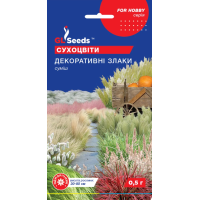 Семена - Сухоцветы Декоративные злаки, смесь, 0,5 г. Семена - Сухоцветы Декоративные злаки, смесь, 0,5 г.
