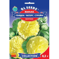Насіння – Мальва Голден Чатерс Стрейн, махрова // 0,3 г.